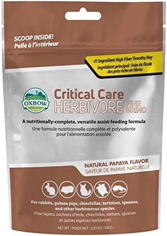 The Humble Co. Floss Picks (200 Count) – Plant Based Dental Floss Picks for Superior Oral Care, Dental Hygiene, and Gum Health, Cruelty Free Tooth Floss Picks (Charcoal, Double Thread)